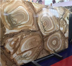 Palomino Quartzite Slabs, Stone Wood Quartzite