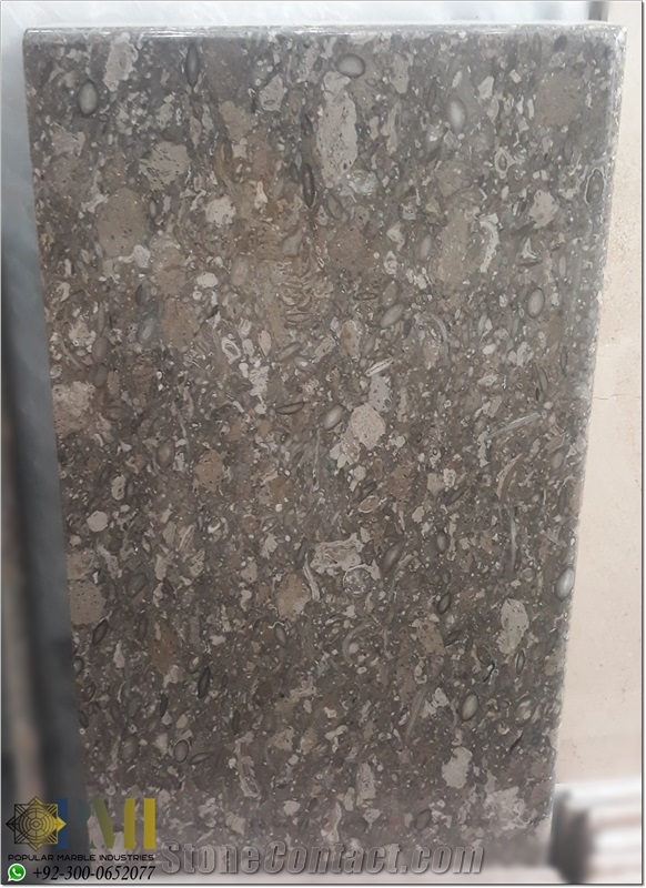 Fossil Gray Marble for Flooring