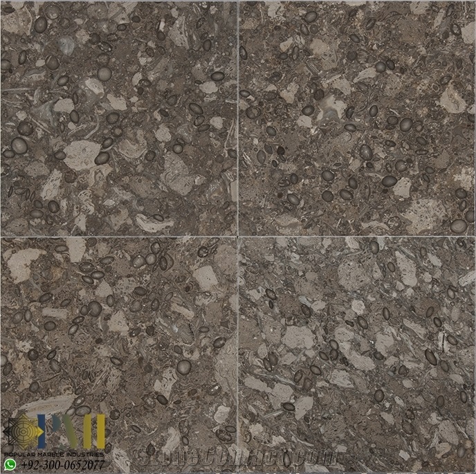 Fossil Gray Marble for Flooring