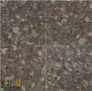 Fossil Gray Marble for Flooring