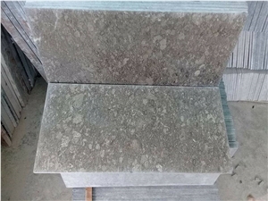 Fossil Gray Marble for Flooring