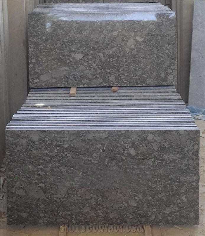 Fossil Gray Marble for Flooring