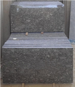 Fossil Gray Marble for Flooring