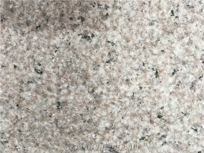 Shrimp Red Granite