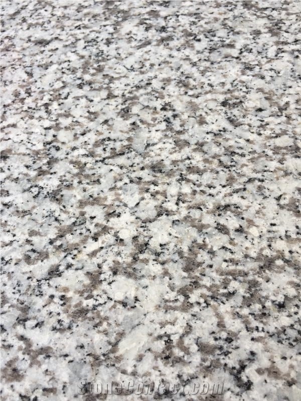 Cheap G655 White Granite Light Grey Granite