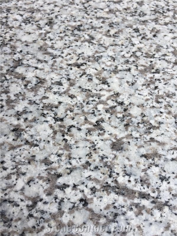 Cheap G655 White Granite Light Grey Granite