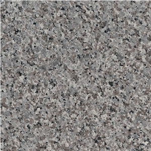 China Swan Grey Cheap Silver Granite New G640