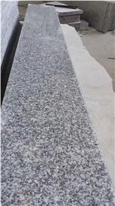 Chinese Bianco Sardo Granite Tiles