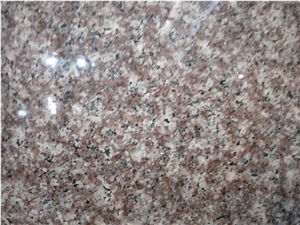 China G664 Old Dark Brown Big Slab Price Polished