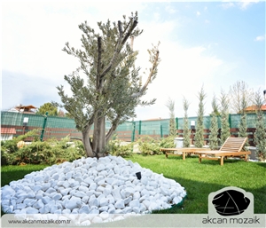 White Tumbled Dolomite Pebble Stone