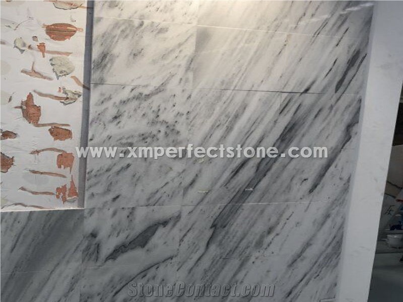 Beautiful Looking Tesla White Marble with Grey
