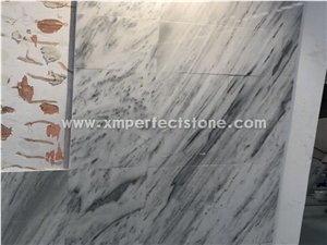Beautiful Looking Tesla White Marble with Grey