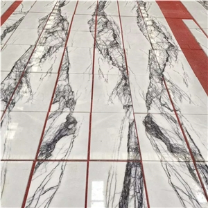 Milas Liac Marble Book Match Stone Panel