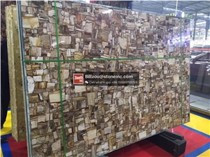 Petrifiled Wood Semiprecious Stone Gemstone Slabs