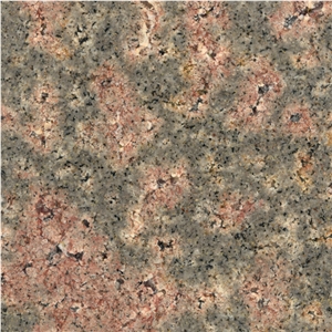Bala Flower Granite Slabs & Tiles