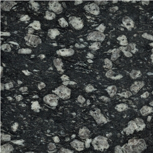 Coin Black Exotic Stone