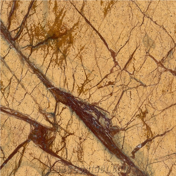 Rain Forest Gold Marble Slabs & Tiles