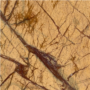 Rain Forest Gold Marble Slabs & Tiles Rain Forest Gold Marble Slabs & Tiles