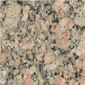 Raymond White Granite Slabs & Tiles
