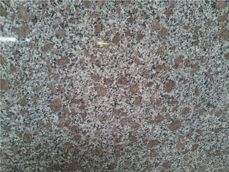 Pc Violet Granite Slab- Viet Nam