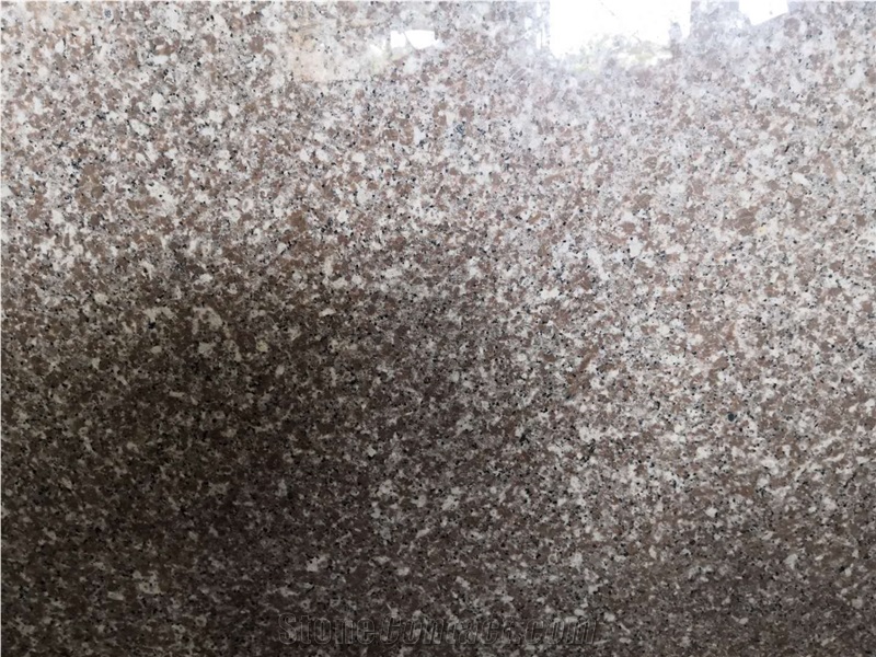 High Polished New Quarry G664 Granite Slab&Tile