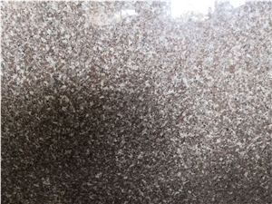 High Polished New Quarry G664 Granite Slab&Tile