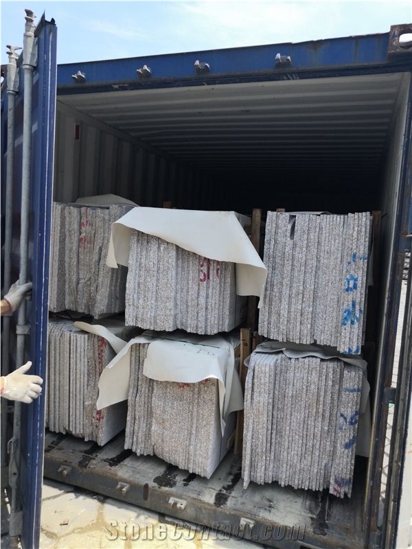 High Polished New Quarry G664 Granite Slab&Tile