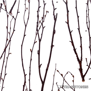 Acrylic Translucent Wall Panels Acrylic Translucent Wall Panels