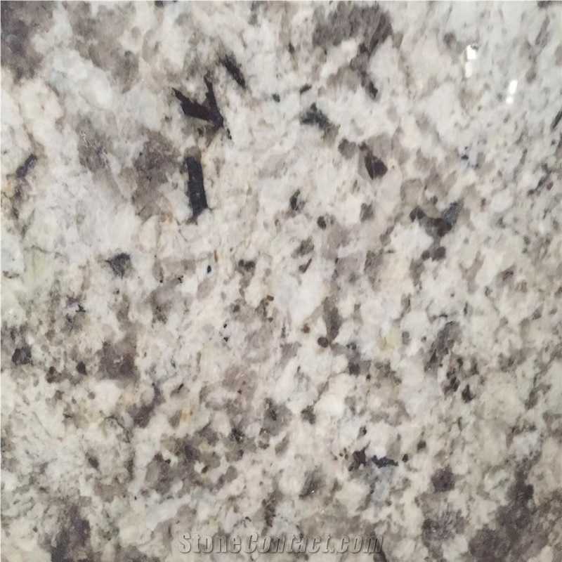 Persian Pearl Granite Price For Slabs And Tiles