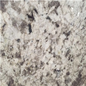Persian Pearl Granite Price For Slabs And Tiles
