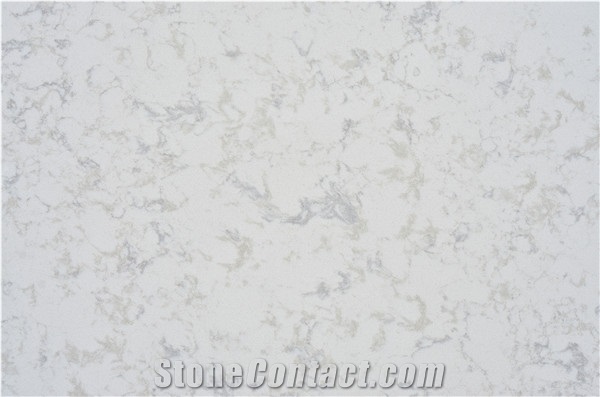Calacatta B Quartz Stone Slabs Polished Surface