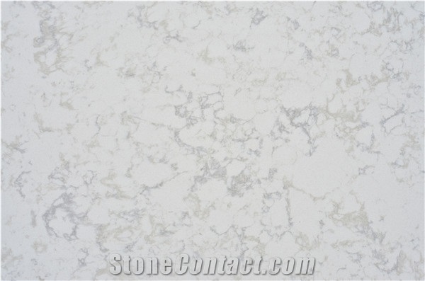 Calacatta B Quartz Stone Slabs Polished Surface
