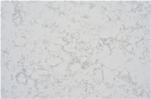 Calacatta B Quartz Stone Slabs Polished Surface