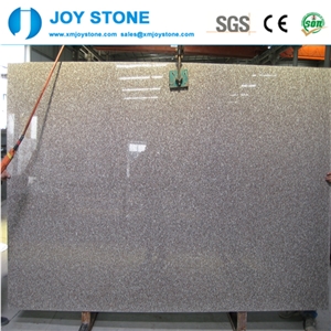 High Quality Polished G664 Red Granite Floor Tiles