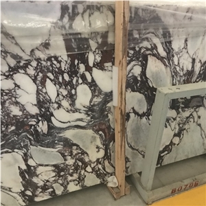 Calacatta Ballerina Marble
