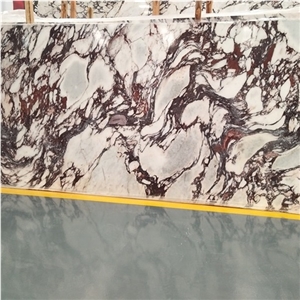 Calacatta Pallerina Marble