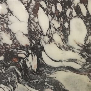 Calacatta Pallerina Marble