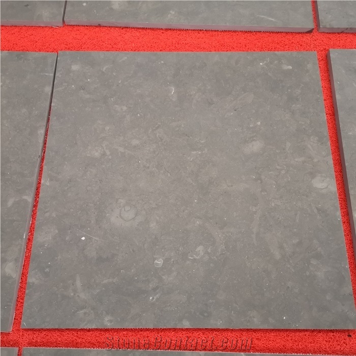 Jura Grey Limestone Tiles for Indoor Floor Design