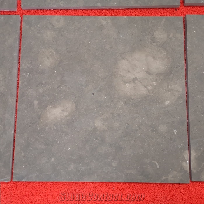 Jura Grey Limestone Tiles for Indoor Floor Design