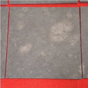 Jura Grey Limestone Tiles for Indoor Floor Design