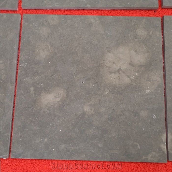 Jura Grey Limestone Tiles for Indoor Floor Design