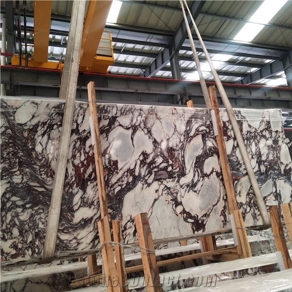 Marmi Calacatta Viola Marble Slab and Tiles