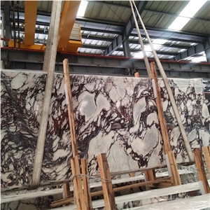 Marmi Calacatta Viola Marble Slab and Tiles Marmi Calacatta Viola Marble Slab and Tiles