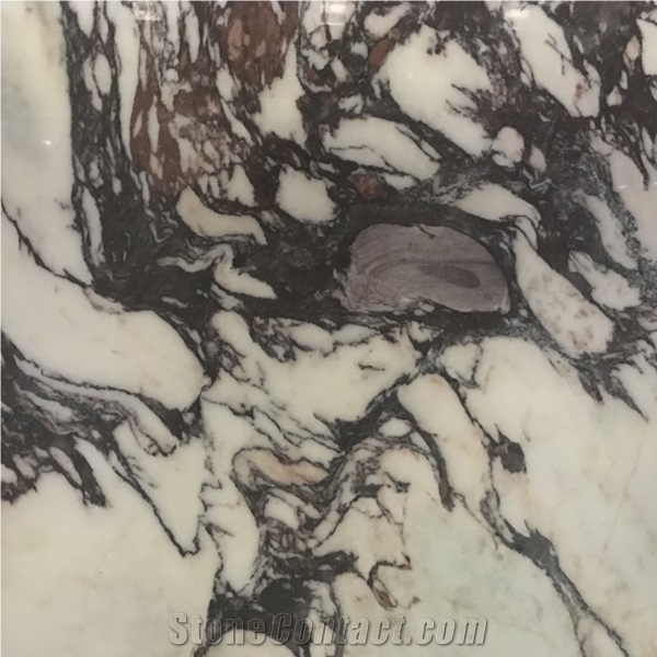 Marmi Calacatta Viola Marble Slab and Tiles