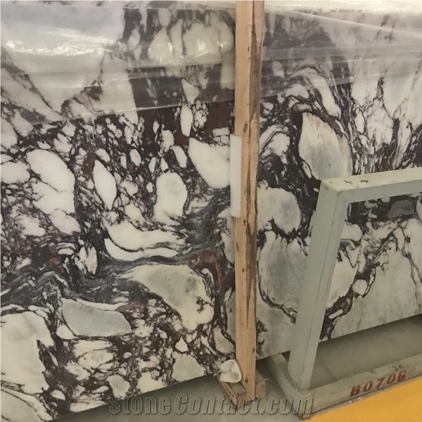 Marmi Calacatta Viola Marble Slab and Tiles