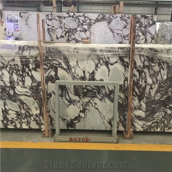 Marmi Calacatta Viola Marble Slab and Tiles