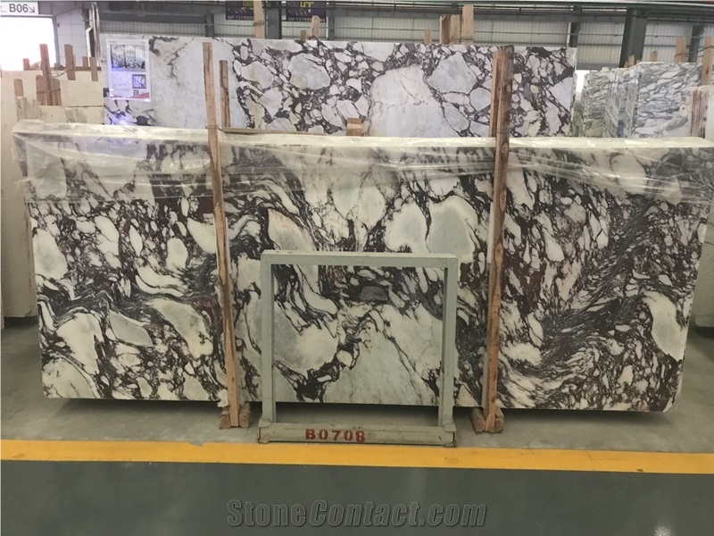 Natural Calacatta Viola White Marble Big Slab
