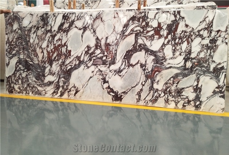 Natural Calacatta Viola White Marble Big Slab