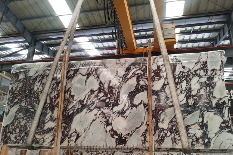 Natural Calacatta Viola White Marble Big Slab