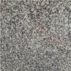 Polished G623 Granite Countertop for Kitchen Price